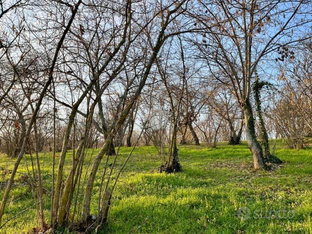 TER. AGRICOLO A SORIANO NEL CIMINO