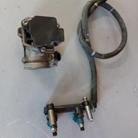 Corpo farfallato integra