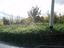 Immagine 14