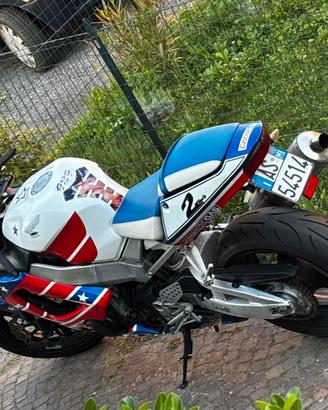 CBR 929 Fireblade trapasso incluso