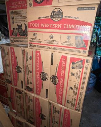 Fieno Oxbow Timothy Hay Fleolo per conigli 4,08kg