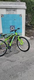Bicicletta