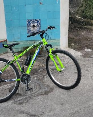 Bicicletta