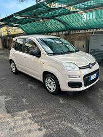 fiat panda new