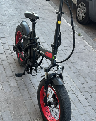 Bicicletta elettrica 250w