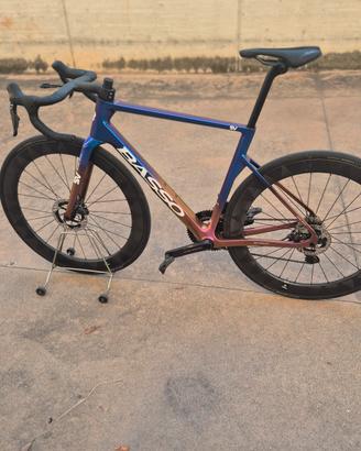basso sv