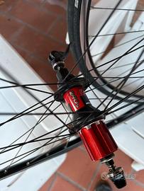 Ruote mavic open pro con mozzi DT SWISS 240s