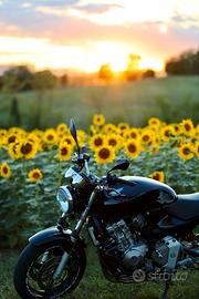 Honda Hornet 600 ASI CRS