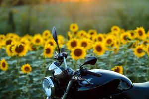 Honda Hornet 600 ASI CRS