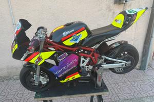 Minimoto DM 40cc, o solo ciclistica.