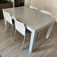 Tavolo in rovere verniciato grigio