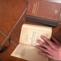 Dizionario Etimologico e Rara Grammatica Gambier