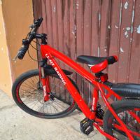 Mountain biki