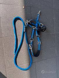 Testiera Equestro