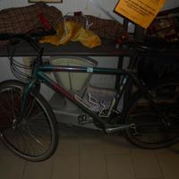 Mountain Bike Epoca Specialized Rock hopper