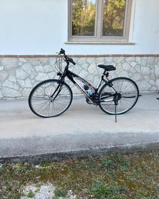 Bici unisex