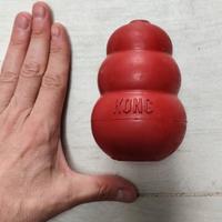Kong misura piccola