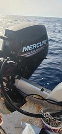  motore mercury 20 cv