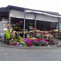 Negozio Di Fiori