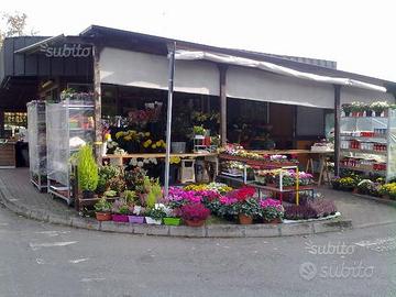Negozio Di Fiori
