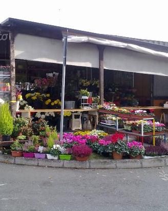 Negozio Di Fiori