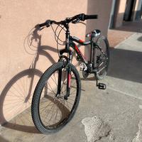 Bici mtb