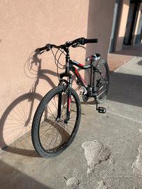 Bici mtb