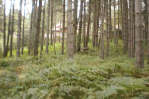 Terreno edificabile sila catanzarese