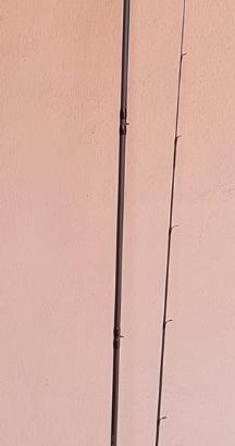 tubertini feeder trinity 