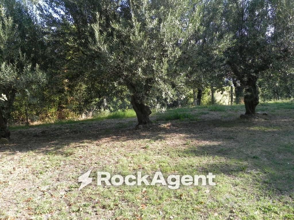 Terreno di 29773 m² a Arcevia - Altro