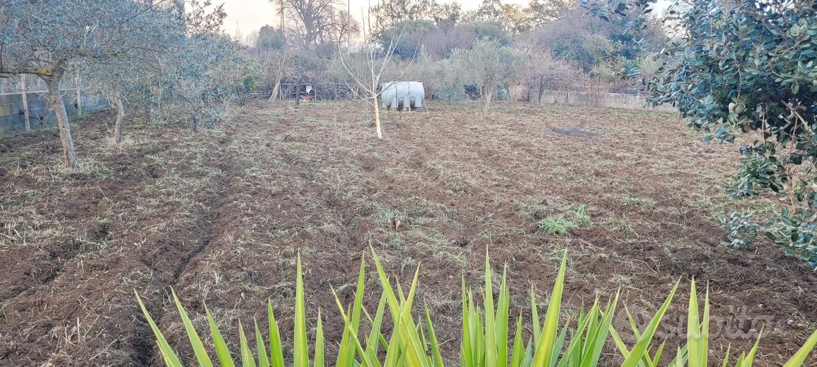 Terreno Viagrande - Vista 2