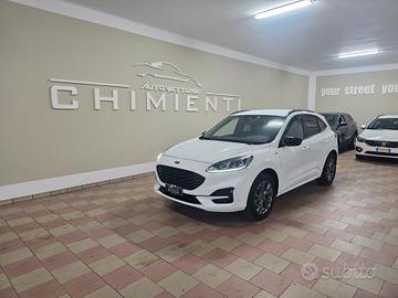 Ford Kuga 2.0 EcoBlue 120 CV aut. AWD ST-Line