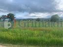 terreno-residenziale-cannara-grim2689vrg-