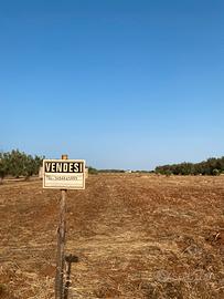 Terreno contrada "Lo Bello"