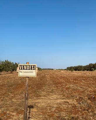 Terreno contrada "Lo Bello"