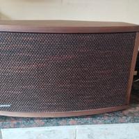 bose 901 serie IV 