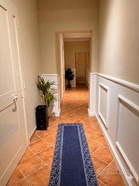 Camere moderne in centro