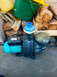 pompa acqua per piscina o laghetti 