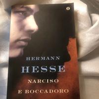 Narciso e Boccadoro di Hermann Hesse