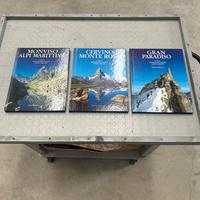 Lotto 3 libri Cervino Monviso e Gran Paradiso