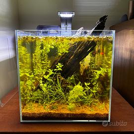 Aquario ELOS BlackWater, Design Vetro Extra Chiaro
