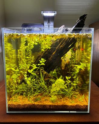 Aquario ELOS BlackWater, Design Vetro Extra Chiaro