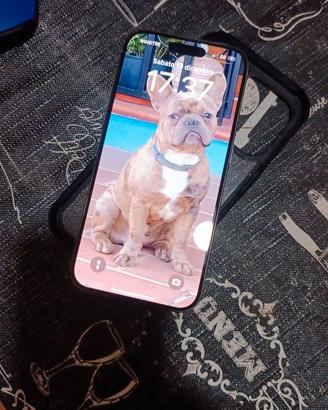 iPhone 15 Pro 256 GB – Perfetto