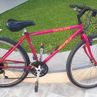 Mountain Bike da donna