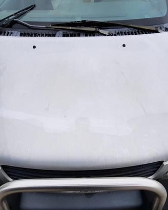 DAIHATSU TERIOS 2000 COFANO ANTERIORE