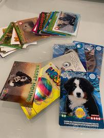 Figurine & cards Amici cucciolotti 2026