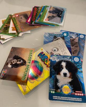 Figurine & cards Amici cucciolotti 2026