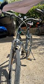 Mountain Bike - Rockrider