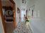 Immagine 17
