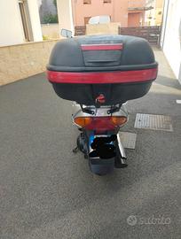Suzuki Burgman 250 